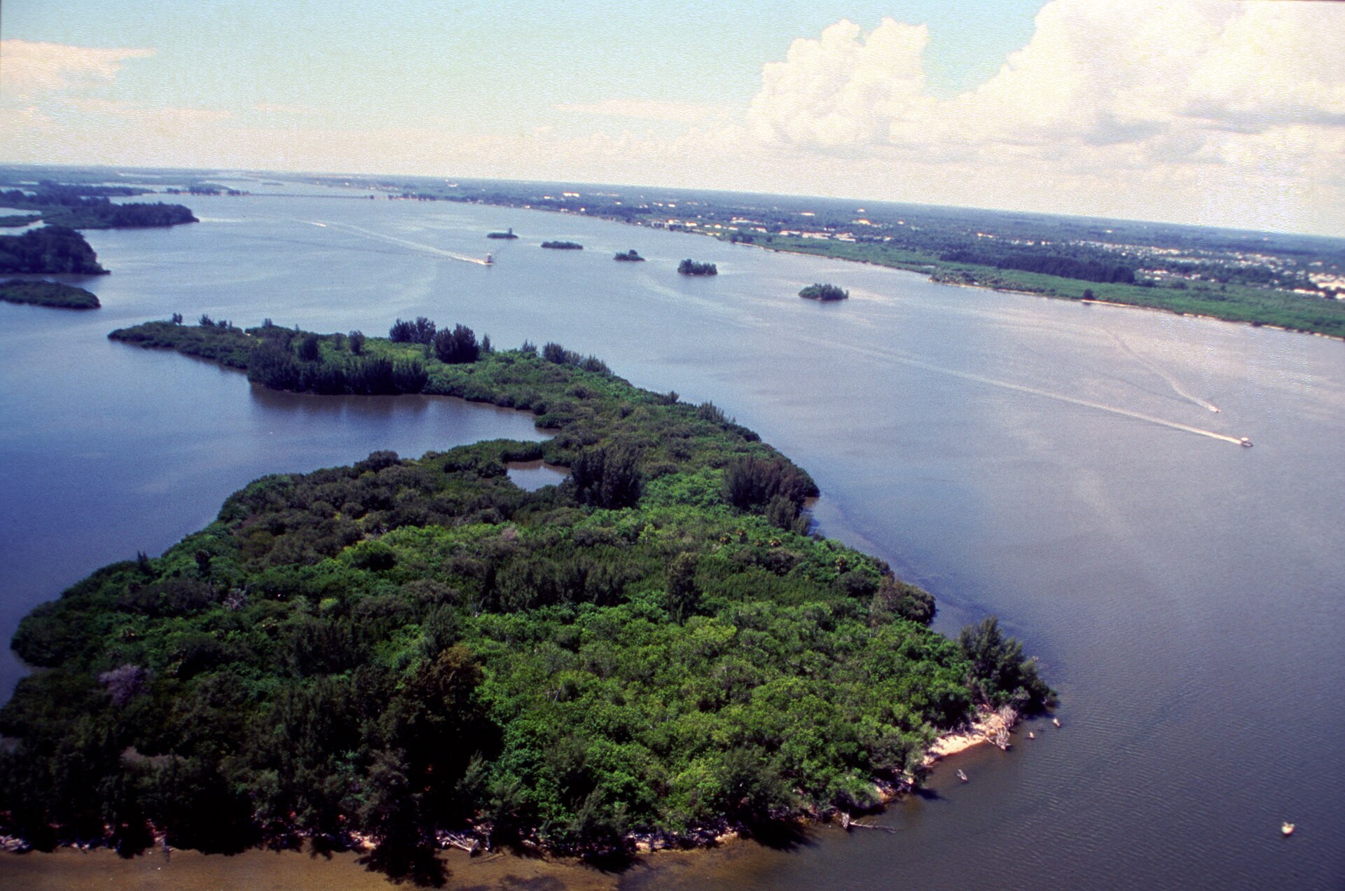 Wide view of the Indian River Lagoon, the salt-marsh system that bred the mosquito problem.