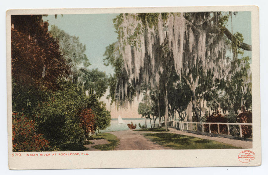 The Indian River near Cocoa, photographed around 1900, the era of stable citrus economy before the 1925 speculation surge.