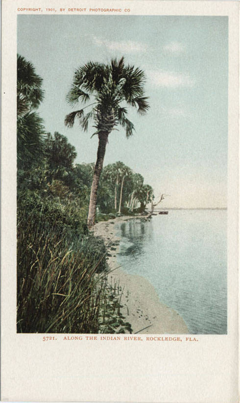Stereograph view of the Indian River at Rockledge, Florida, late 19th century, showing the lagoon-front winter-colony landscape that made Rockledge famous before Cocoa overtook it commercially.