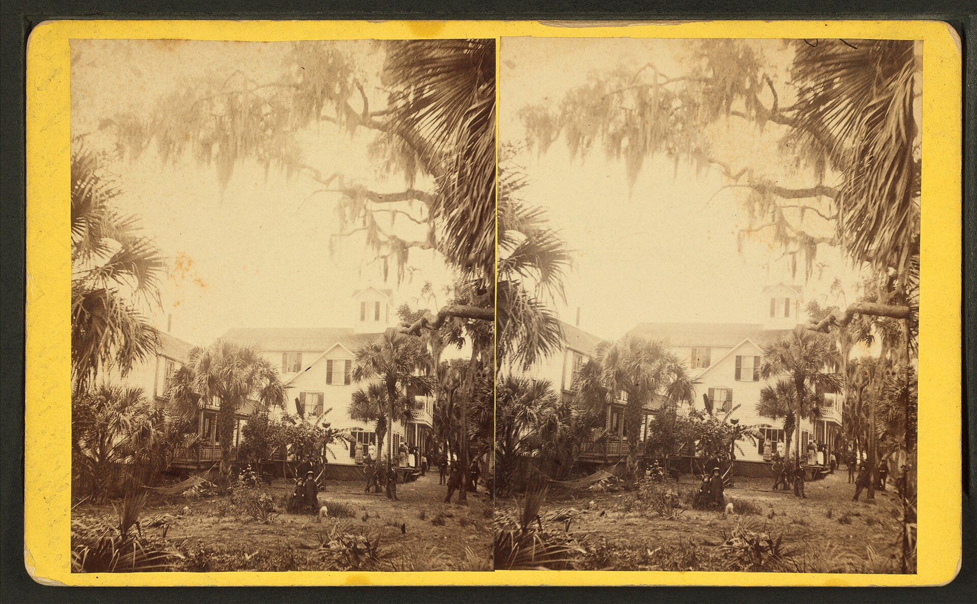 Tropical House at Rockledge, by J. S. Mitchell.
